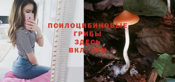 крисы Абинск