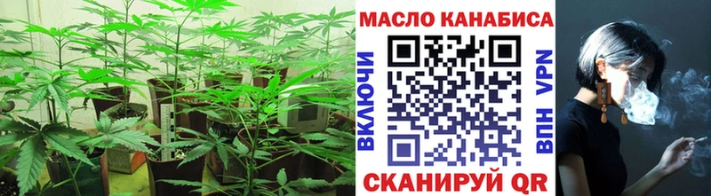 ТГК Wax  Тутаев 
