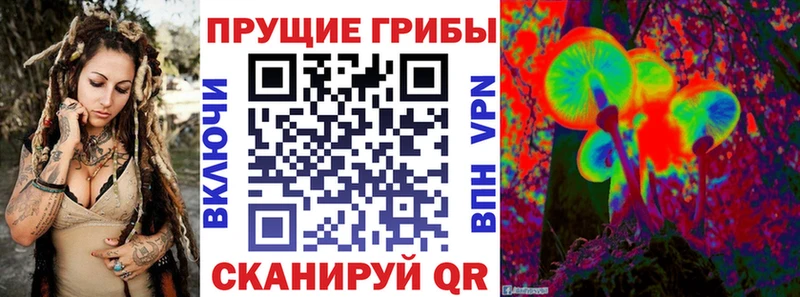 Псилоцибиновые грибы прущие грибы hydra ТОР Тутаев
